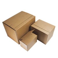 Boomerang™ Rapid Return Box