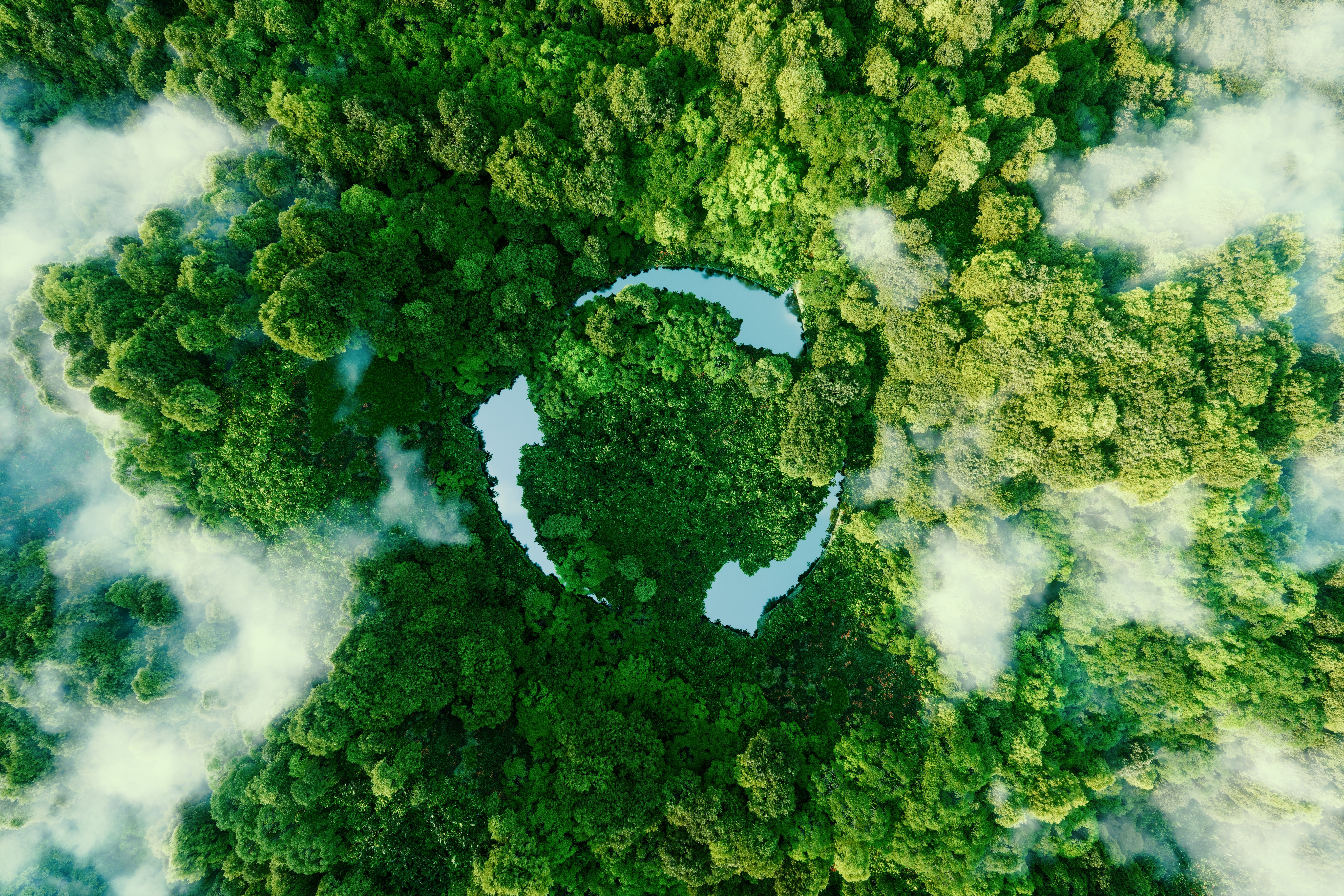Sustainability Blog