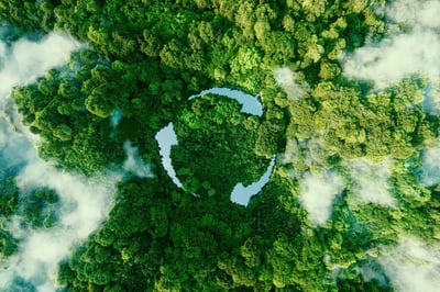 Sustainability_Blog_optimised