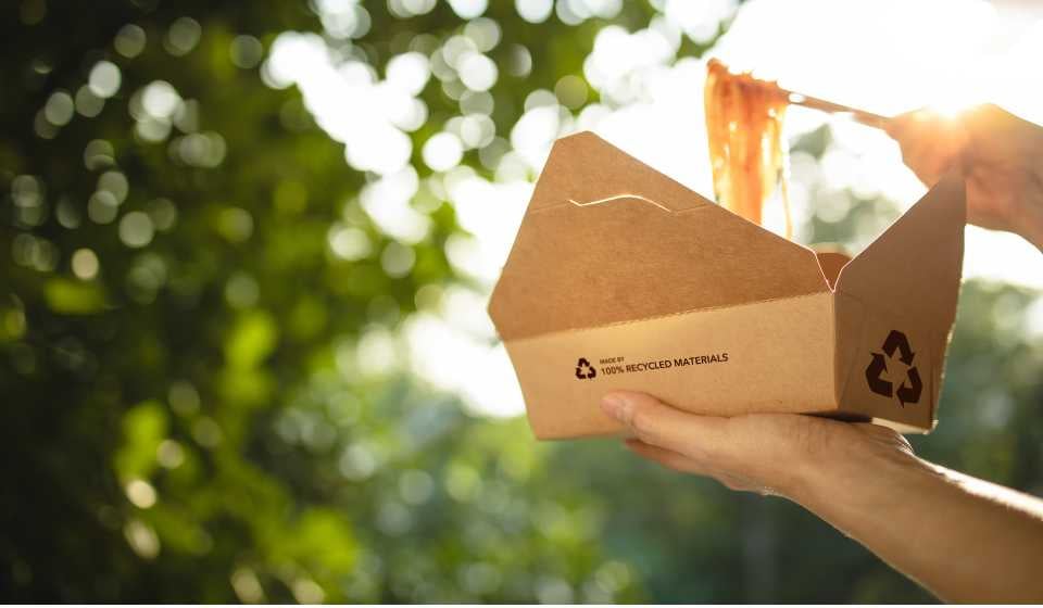 What is Packaging Greenwashing_ The Keys to Identifying Misleading Sustainability Claims  - 2